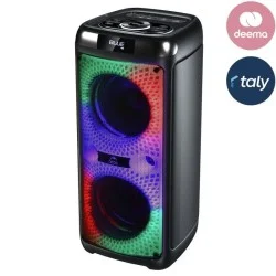 Rechargeable Trolley Speaker 40W (Rms) - Black